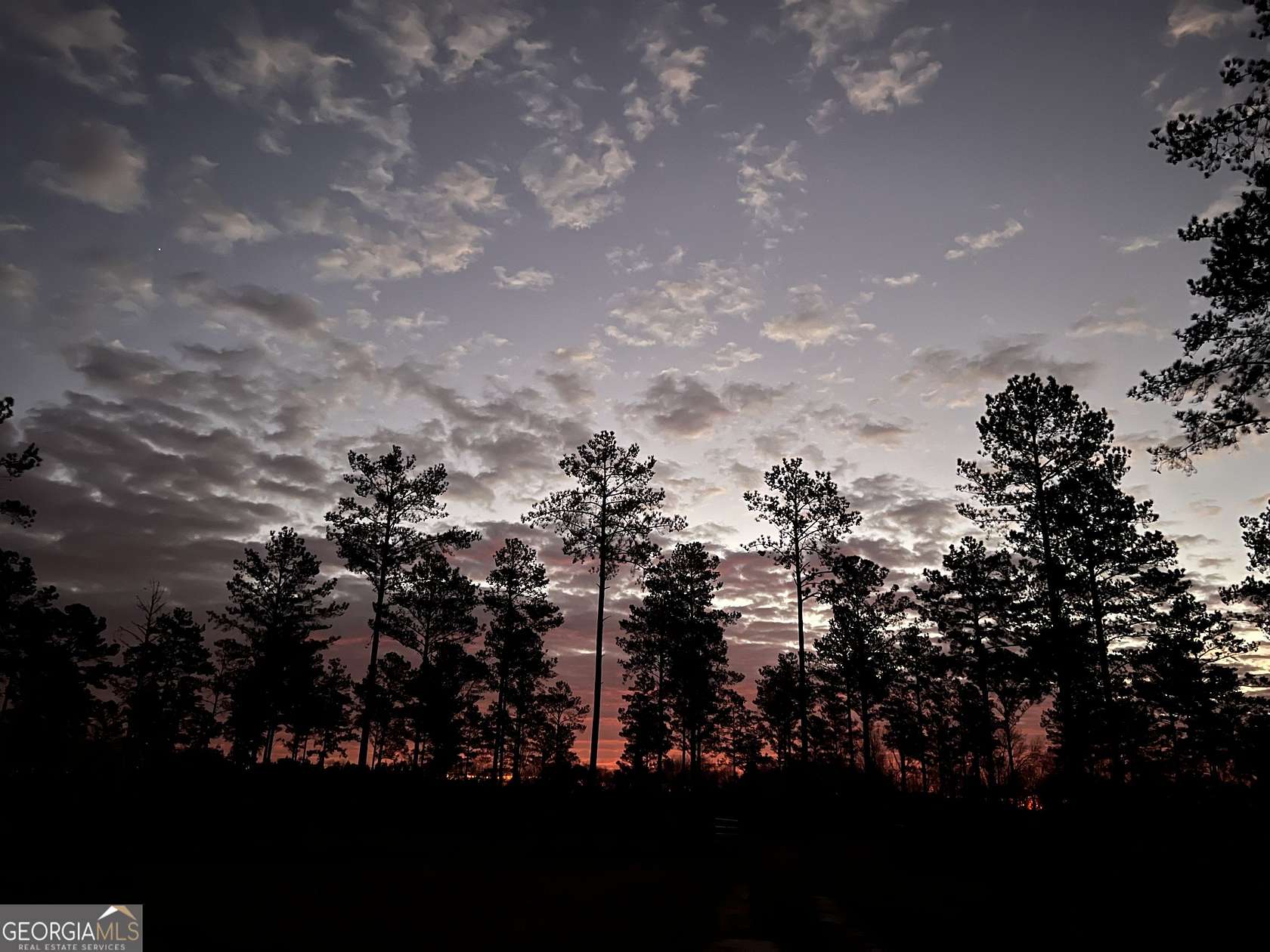 102 Acres of Recreational Land & Farm for Sale in Elko, Georgia