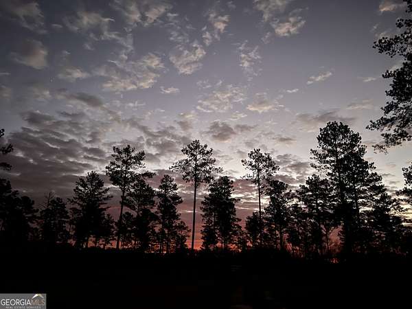 102 Acres of Recreational Land & Farm for Sale in Elko, Georgia