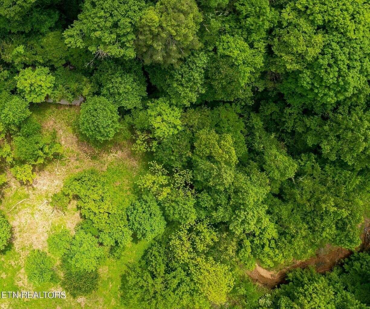 40.4 Acres of Recreational Land for Sale in Vonore, Tennessee