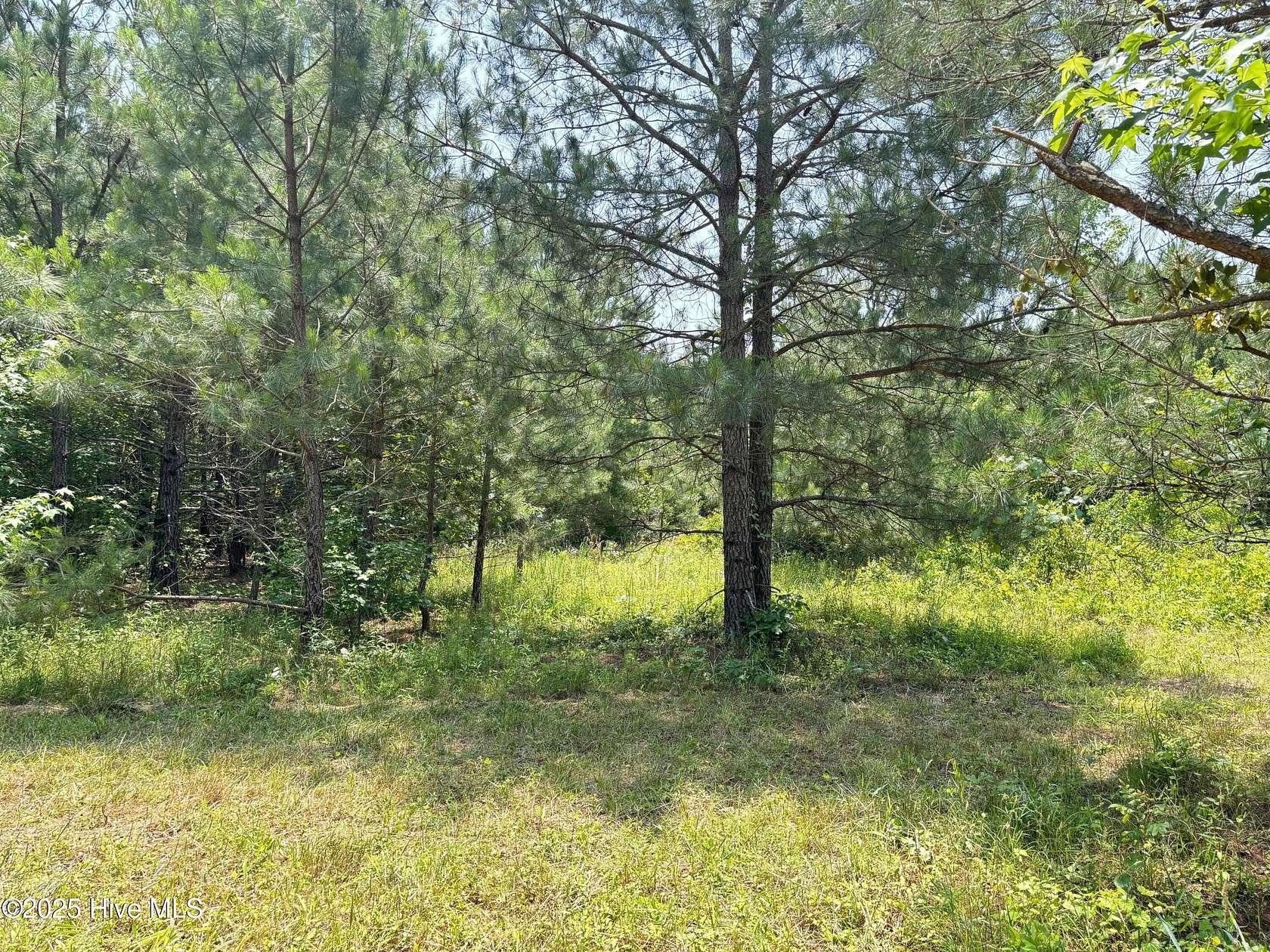 0.69 Acres of Residential Land for Sale in Como, North Carolina