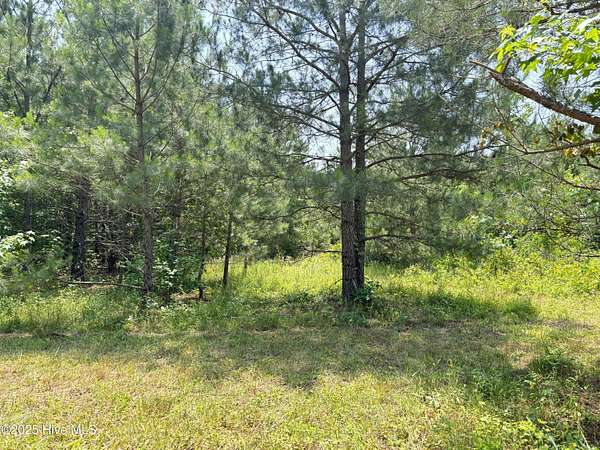 0.69 Acres of Residential Land for Sale in Como, North Carolina