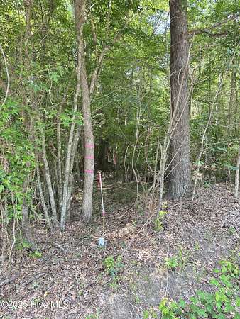 0.79 Acres of Residential Land for Sale in Como, North Carolina