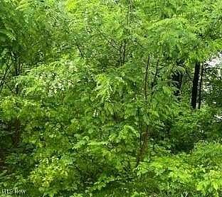 0.62 Acres of Residential Land for Sale in Lake Milton, Ohio