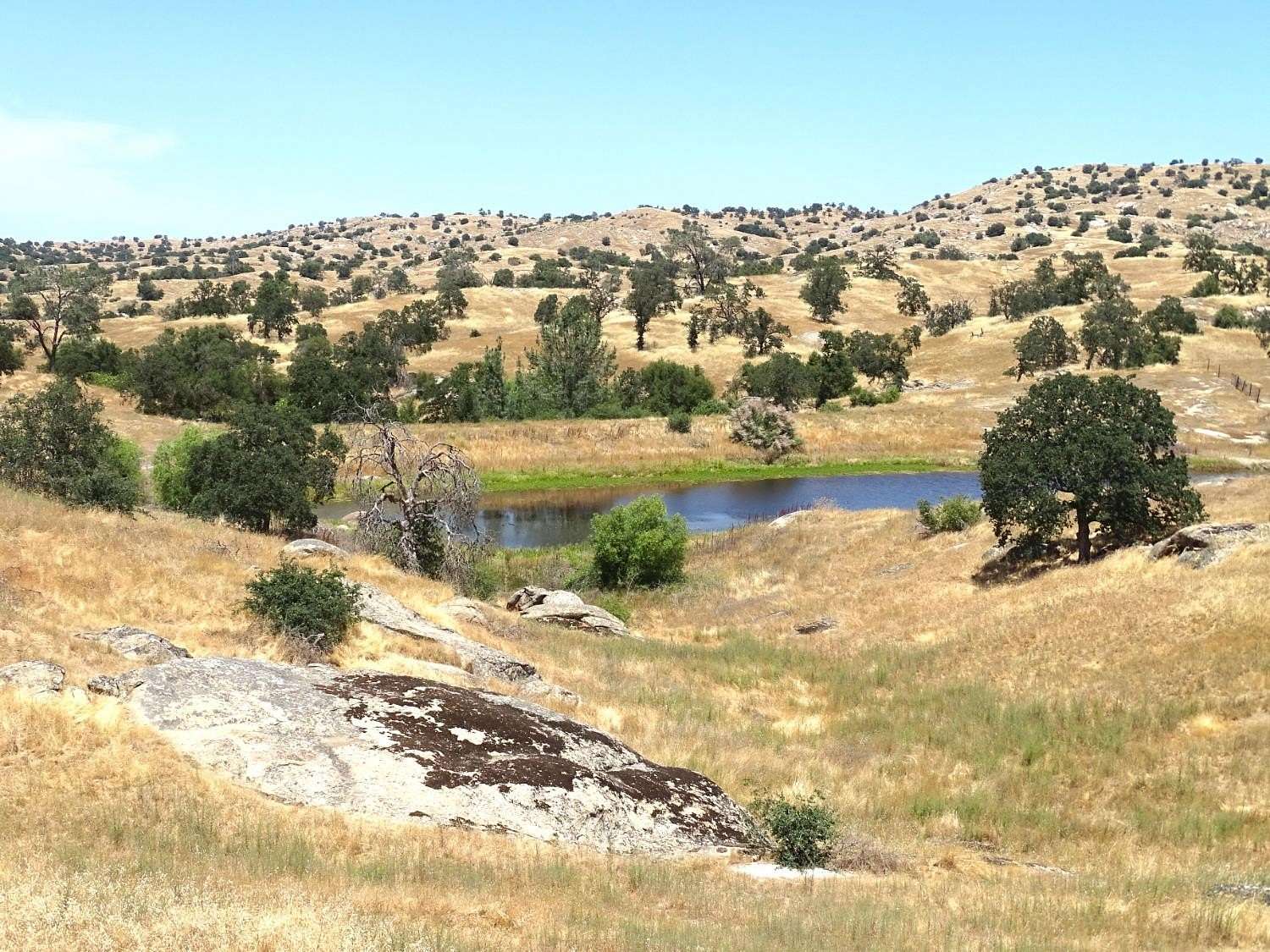 38 Acres of Agricultural Land for Sale in Madera, California