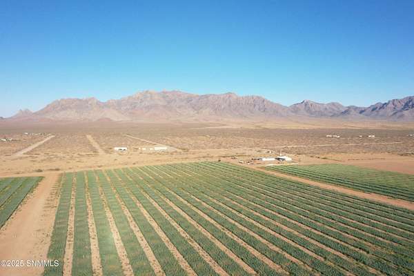 321 Acres of Agricultural Land for Sale in Deming, New Mexico