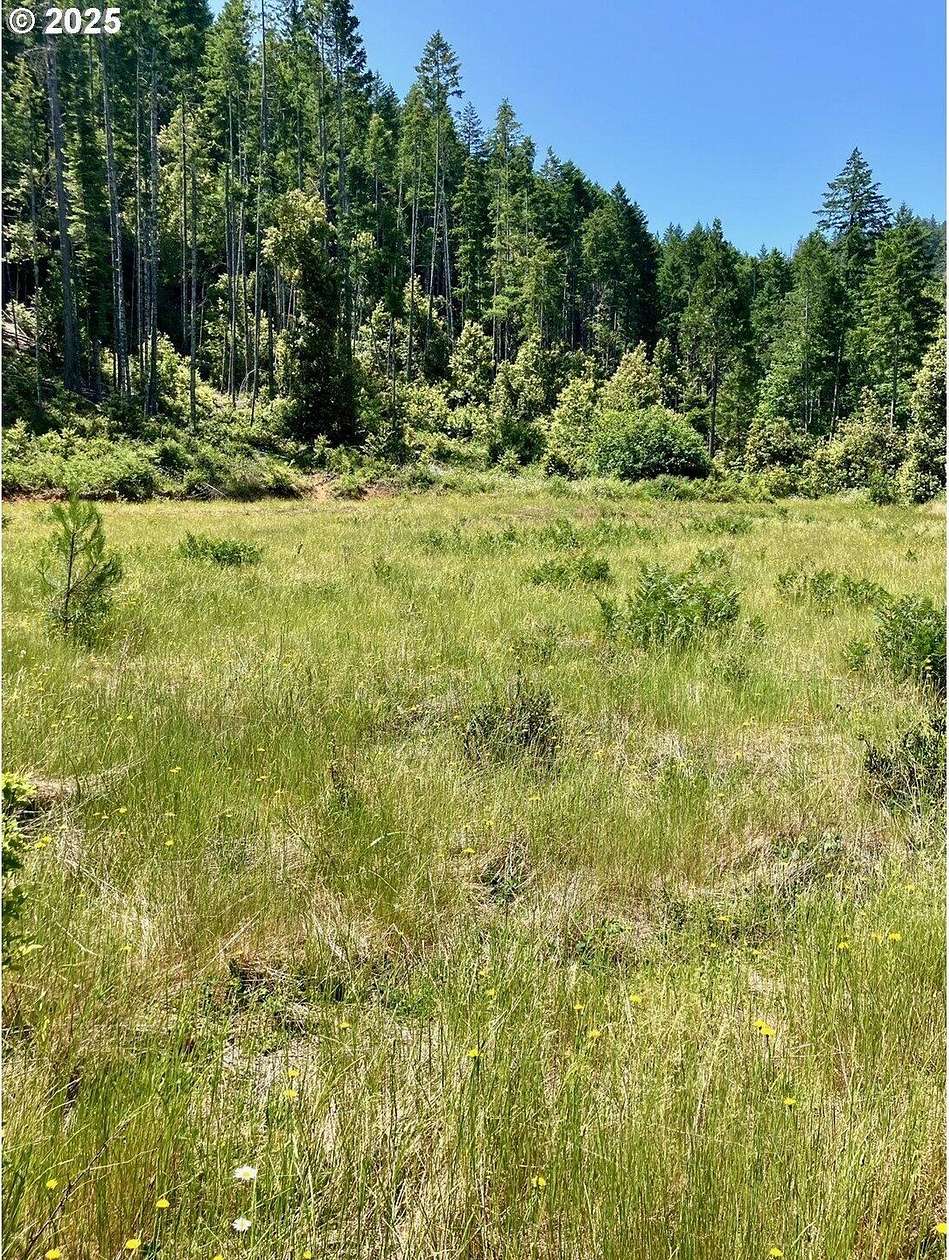 20 Acres of Recreational Land for Sale in O'Brien, Oregon