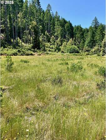20 Acres of Recreational Land for Sale in O'Brien, Oregon
