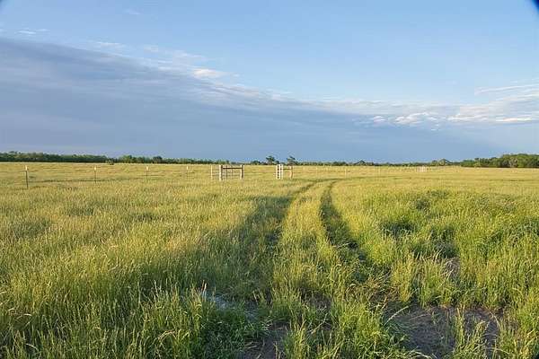 115 Acres of Land for Sale in Groesbeck, Texas