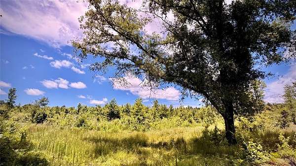 103 Acres of Recreational Land for Sale in Bernice, Louisiana