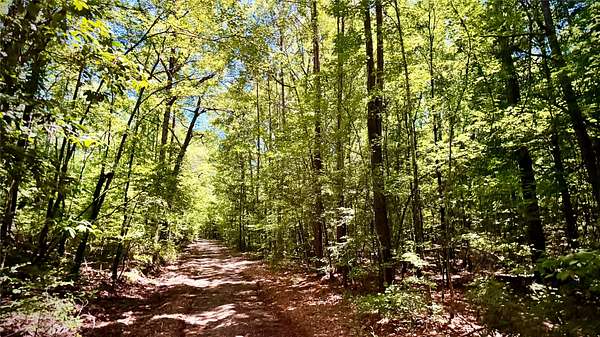 200 Acres of Recreational Land for Sale in Bernice, Louisiana