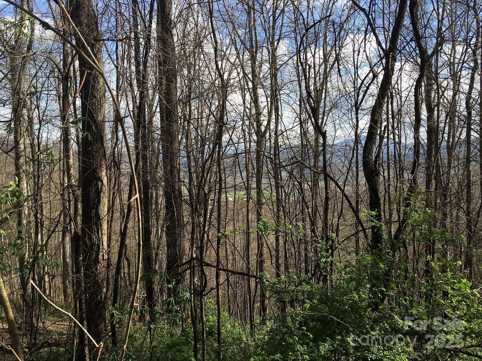 0.76 Acres of Land for Sale in Waynesville, North Carolina