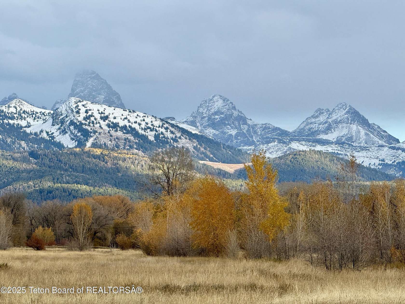 2.87 Acres of Land for Sale in Tetonia, Idaho