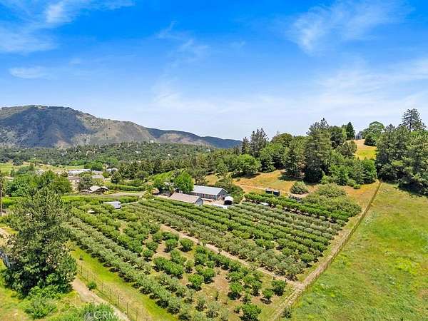 9.42 Acres of Improved Mixed-Use Land for Sale in Julian, California