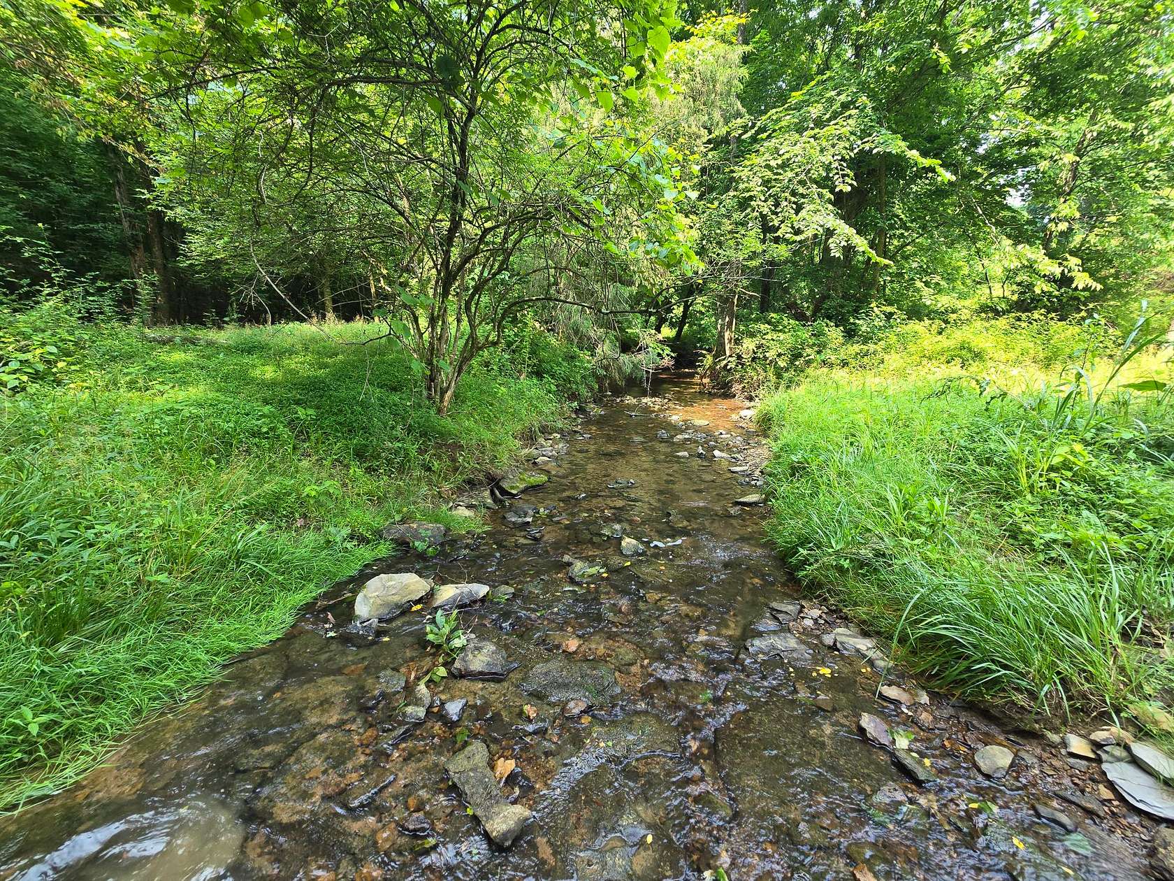 158 Acres of Recreational Land & Farm for Sale in Glasgow, Kentucky