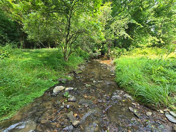 158 Acres of Recreational Land & Farm for Sale in Glasgow, Kentucky