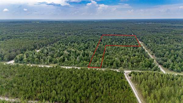 19.2 Acres of Land for Auction in High Springs, Florida