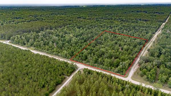 11.5 Acres of Land for Auction in High Springs, Florida