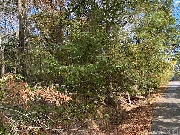 1 Acre of Residential Land for Sale in Houston, Arkansas