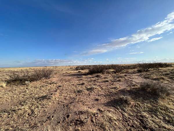 0.5 Acres of Residential Land for Sale in Deming, New Mexico