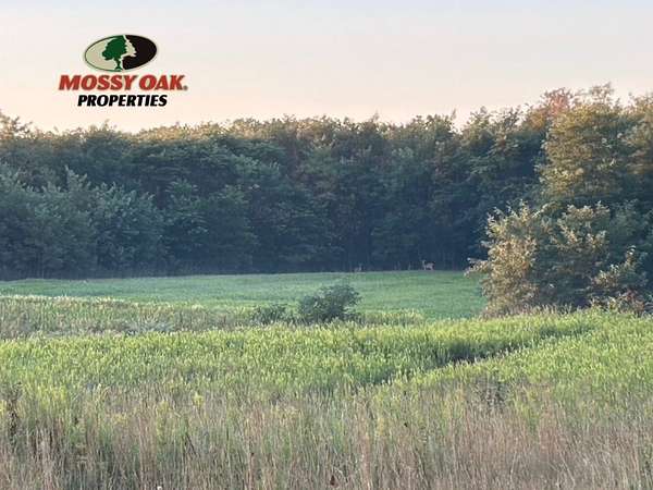 50 Acres of Recreational Land for Sale in Cisco, Illinois
