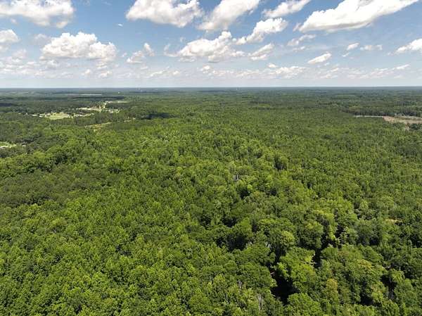 439 Acres of Recreational Land for Sale in St. Pauls, North Carolina