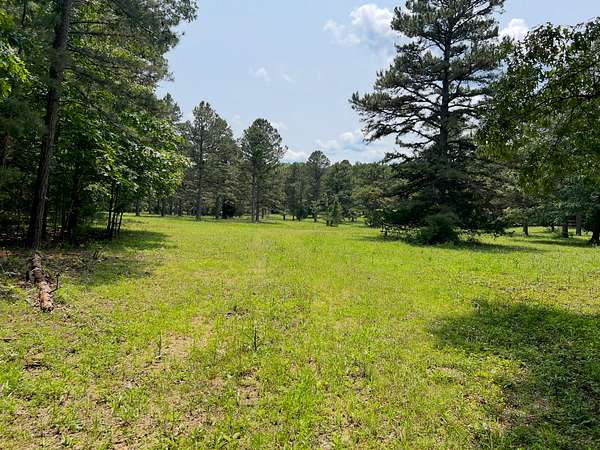 40 Acres of Recreational Land & Farm for Sale in Fremont, Missouri