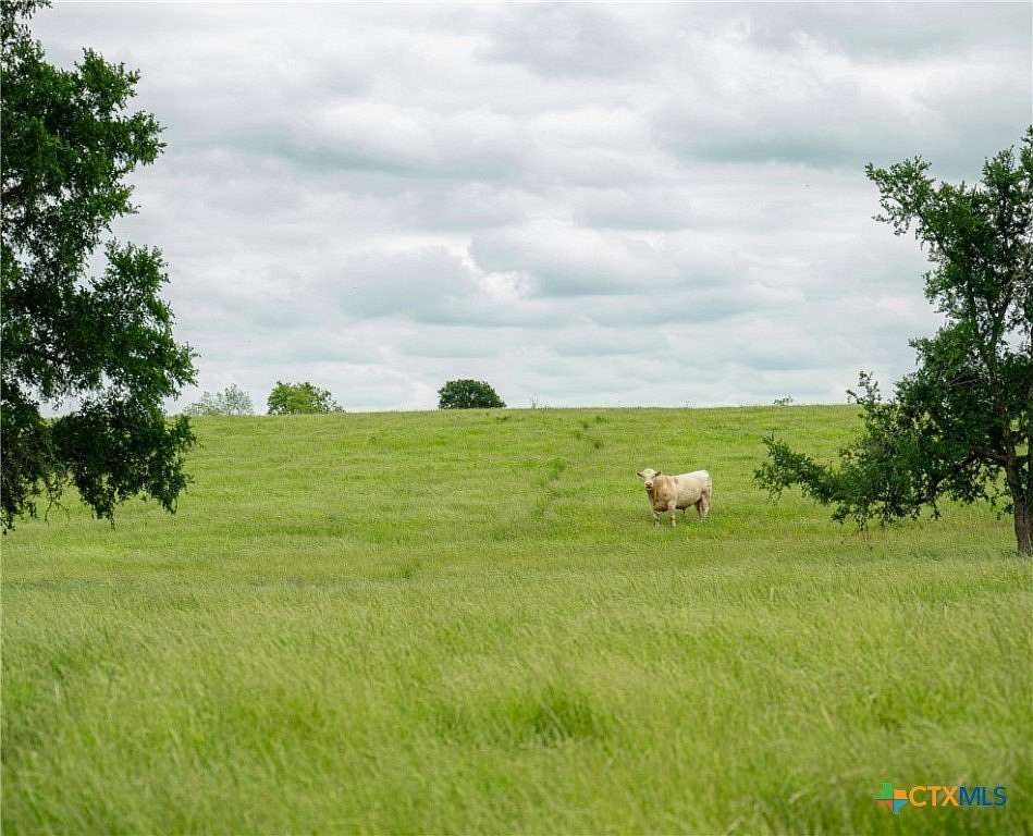 48.2 Acres of Recreational Land & Farm for Sale in Coupland, Texas