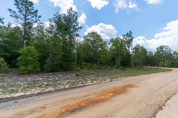 0.2 Acres of Residential Land for Sale in Interlachen, Florida