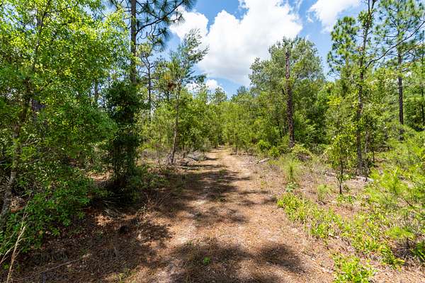 0.22 Acres of Residential Land for Sale in Interlachen, Florida