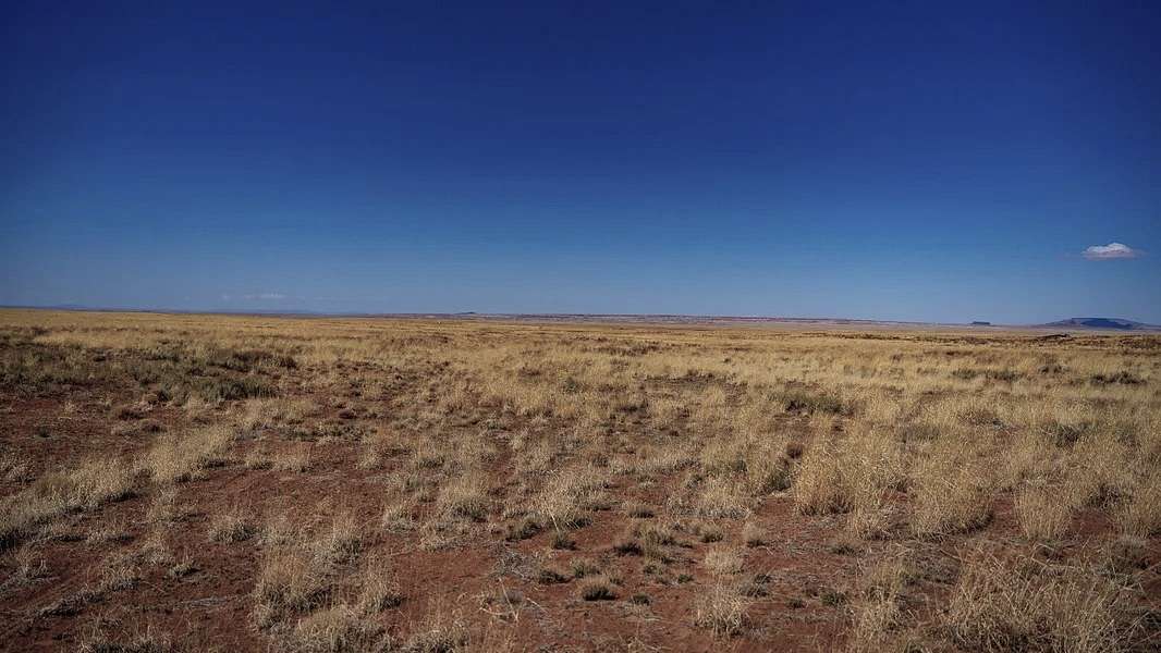 1.26 Acres of Residential Land for Sale in Holbrook, Arizona