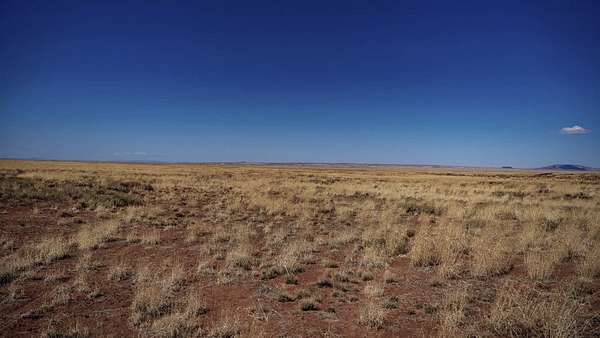 1.26 Acres of Residential Land for Sale in Holbrook, Arizona