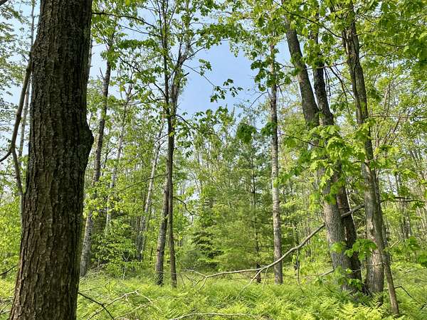 0.54 Acres of Land for Sale in Gaylord, Michigan
