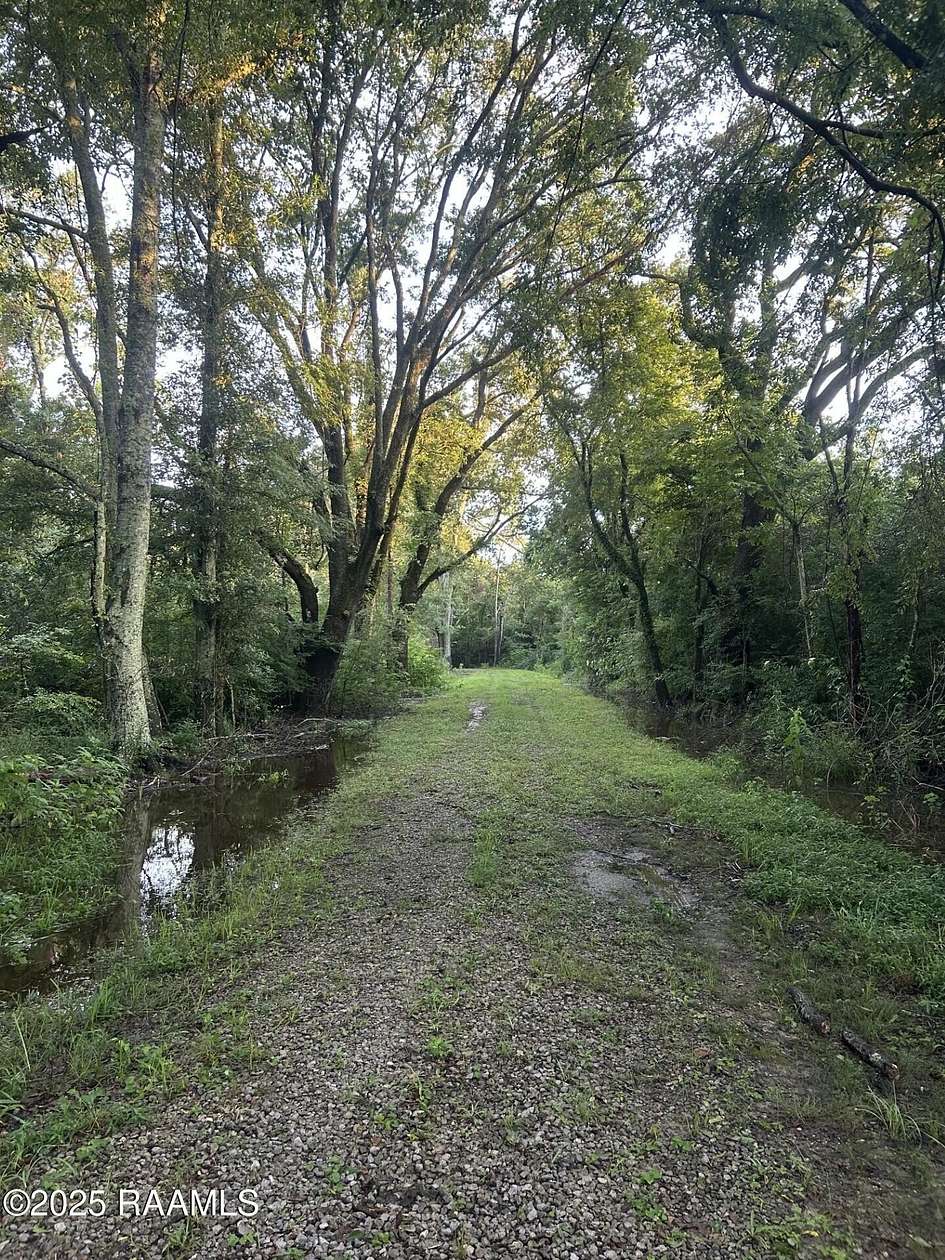 40.4 Acres of Recreational Land for Sale in Ville Platte, Louisiana