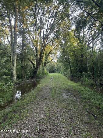 40.4 Acres of Recreational Land for Sale in Ville Platte, Louisiana