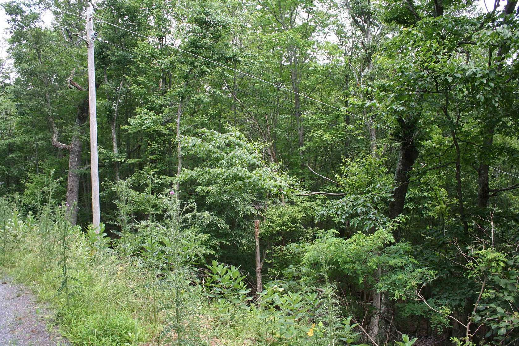 5 Acres of Residential Land for Sale in Monterey, Virginia