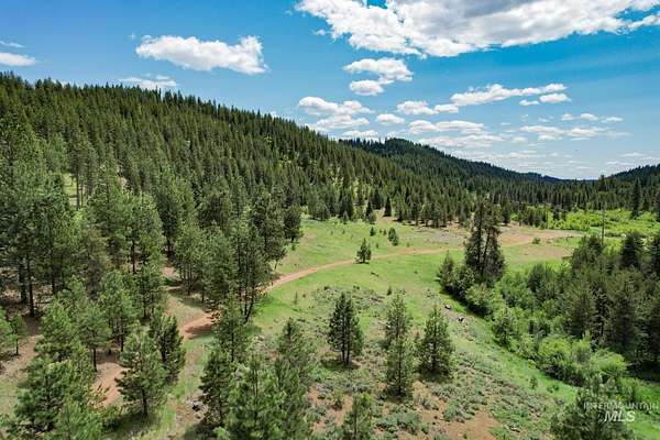 217 Acres of Recreational Land for Sale in New Meadows, Idaho