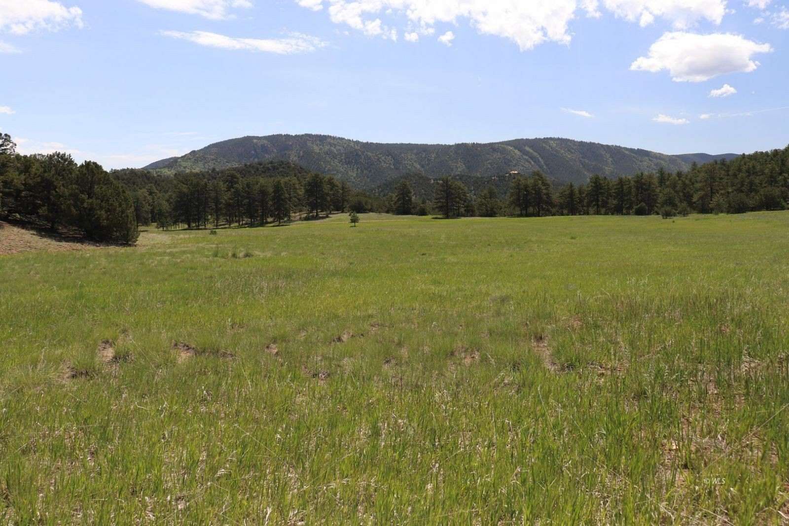 35.2 Acres of Land for Sale in Cañon City, Colorado