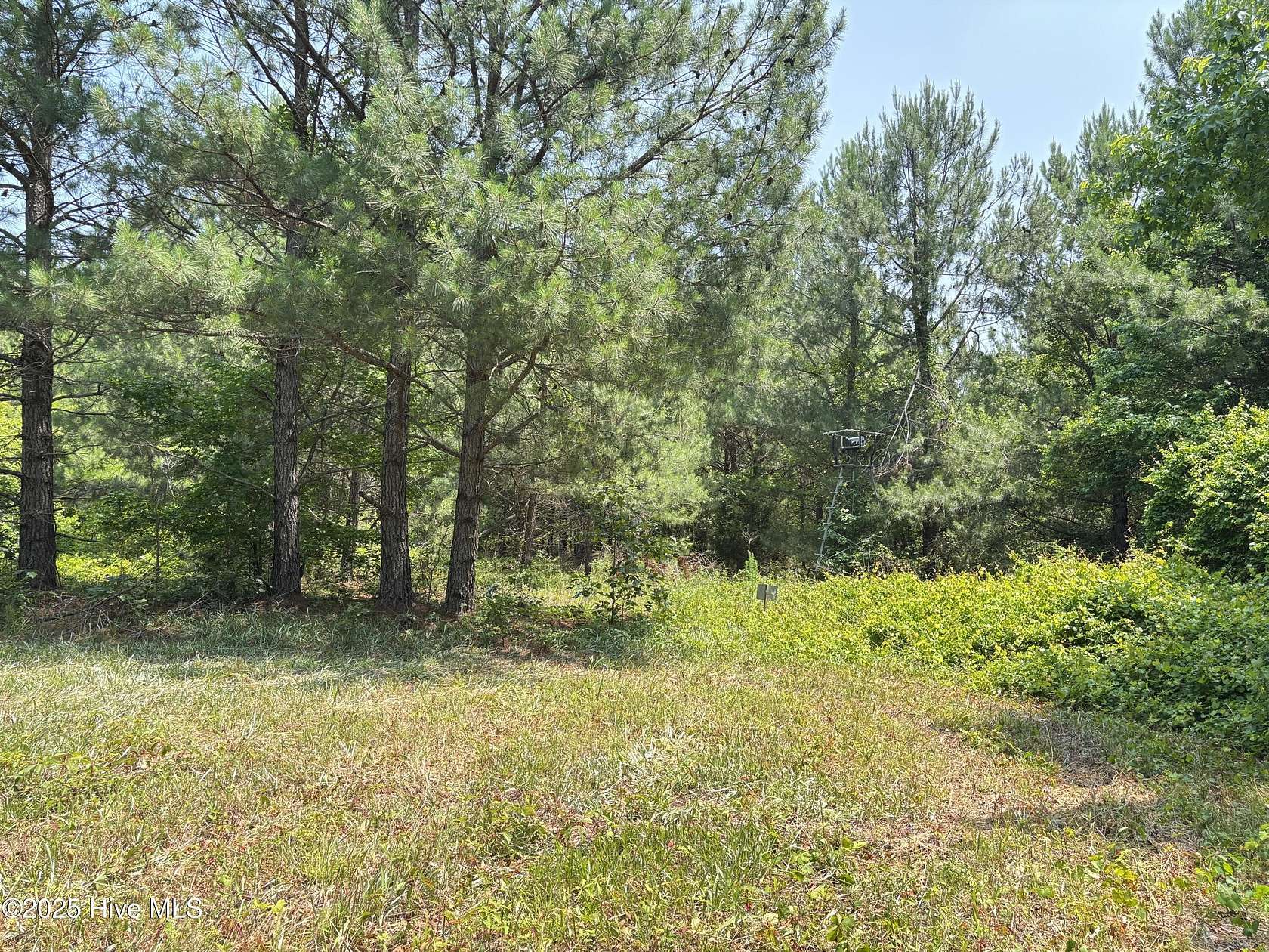 0.69 Acres of Residential Land for Sale in Como, North Carolina