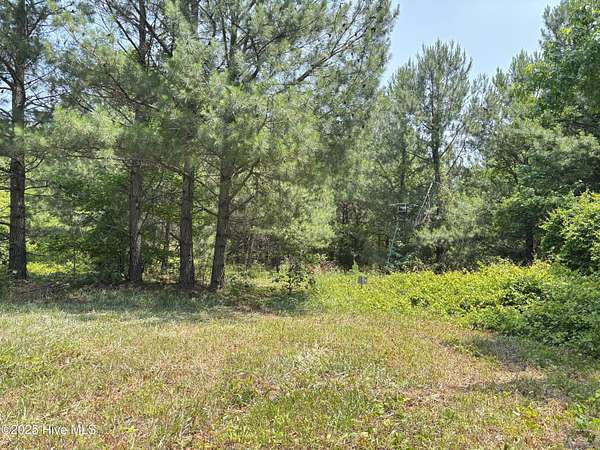 0.69 Acres of Residential Land for Sale in Como, North Carolina