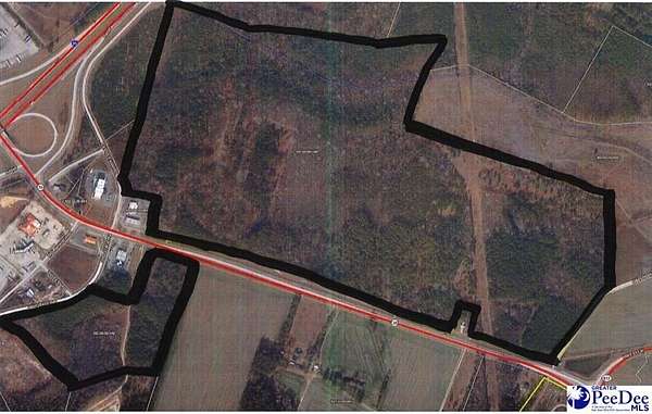 224 Acres of Land for Sale in Latta, South Carolina