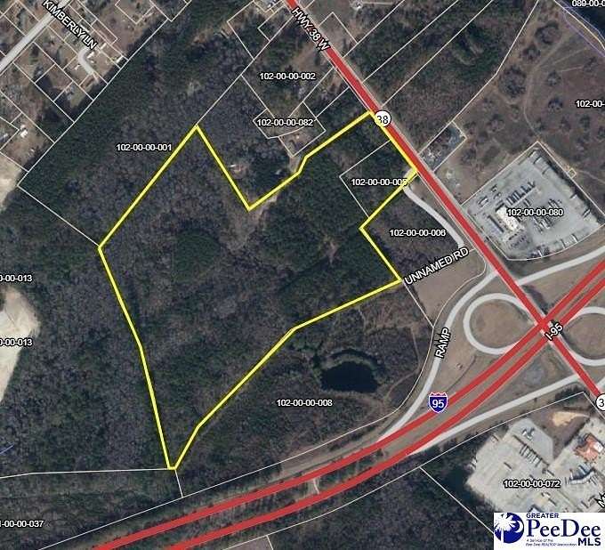 66 Acres of Land for Sale in Latta, South Carolina