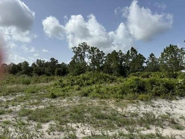 1.25 Acres of Residential Land for Sale in LaBelle, Florida