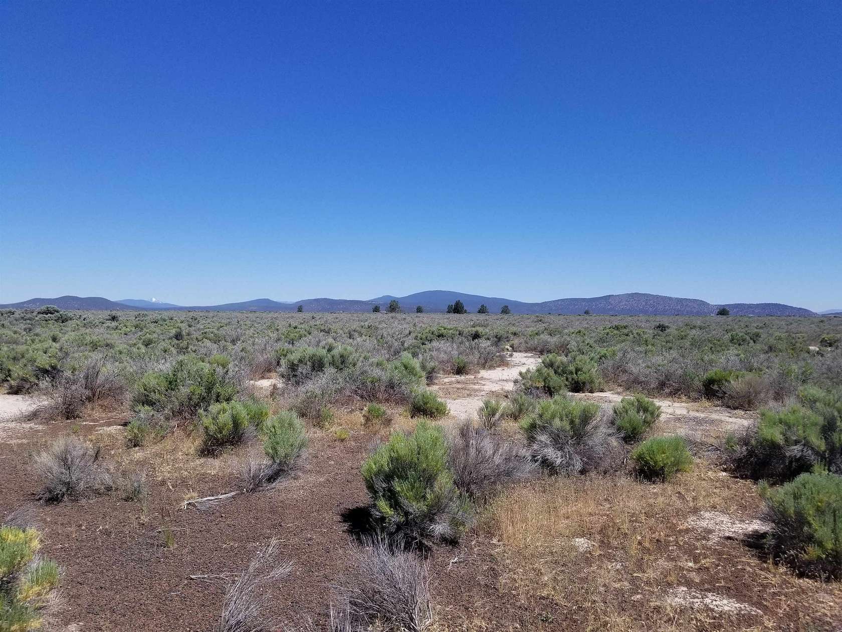 78 Acres of Land for Sale in Dorris, California