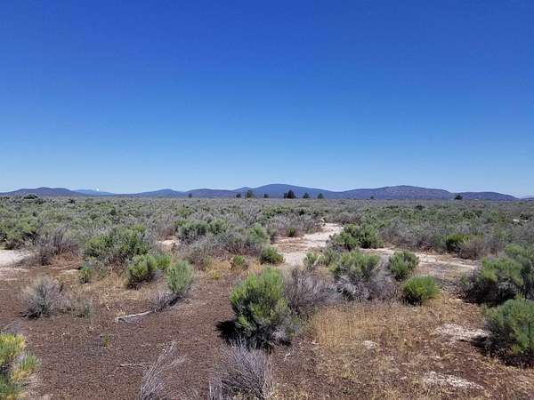 78 Acres of Land for Sale in Dorris, California