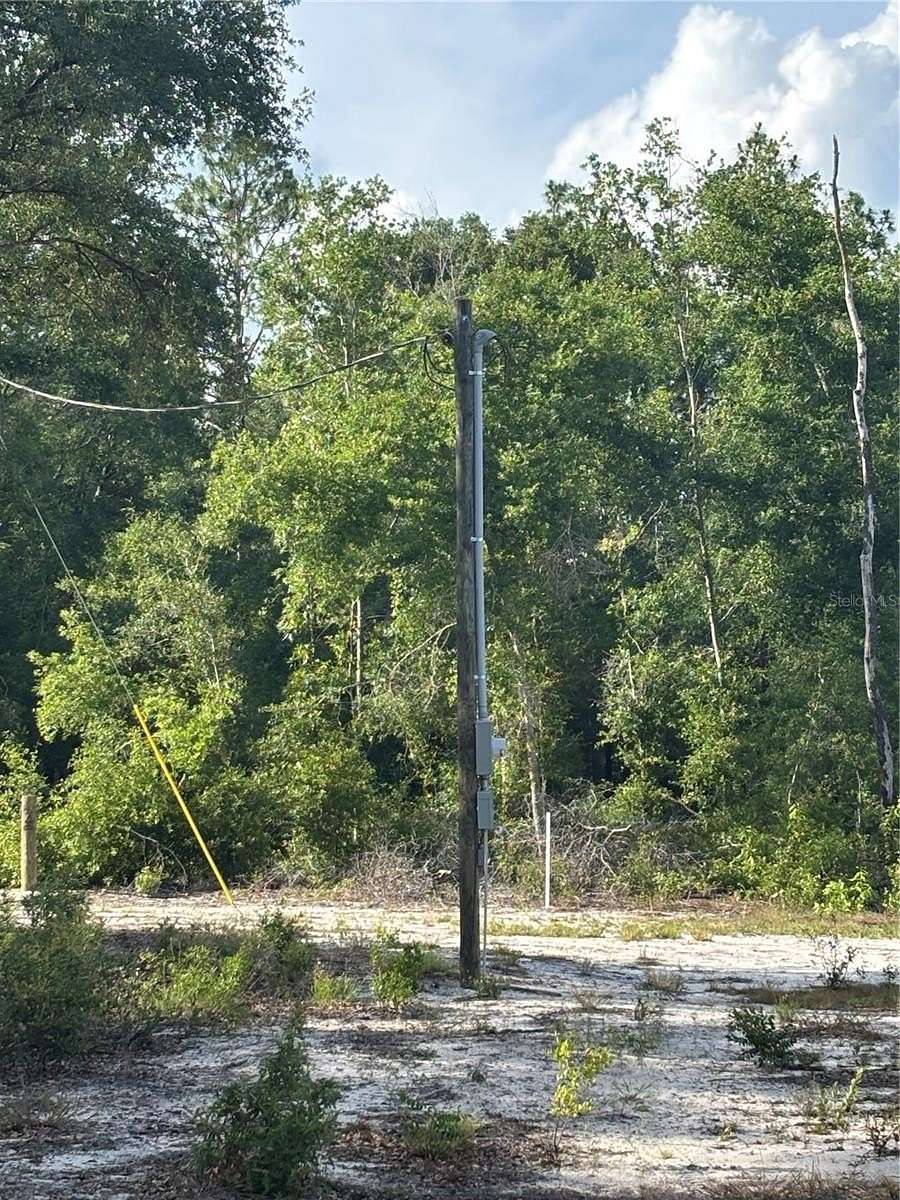 20 Acres of Land for Sale in Bell, Florida