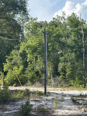 20 Acres of Land for Sale in Bell, Florida