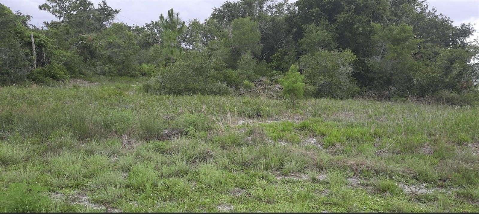 0.74 Acres of Mixed-Use Land for Sale in Indian Lake Estates, Florida