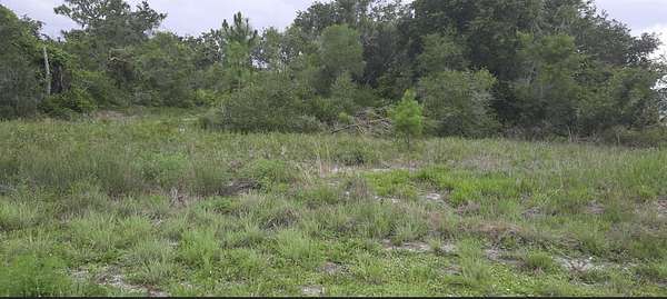 0.74 Acres of Mixed-Use Land for Sale in Indian Lake Estates, Florida