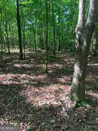 5.35 Acres of Residential Land for Sale in Alto, Georgia