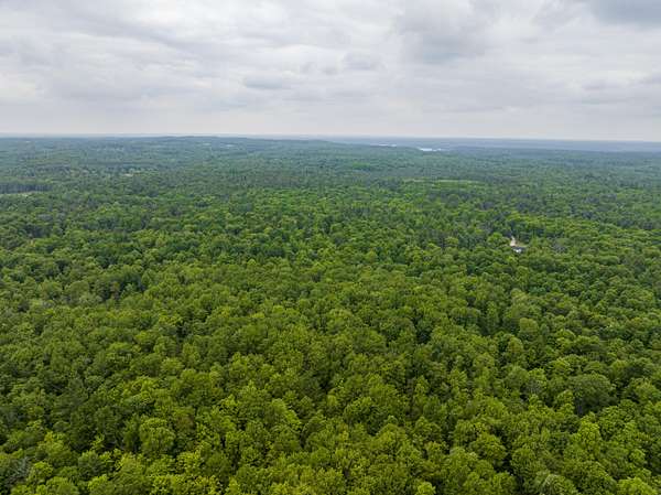 60.3 Acres of Recreational Land for Sale in Newaygo, Michigan
